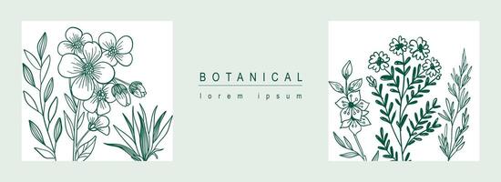 Botanical abstract background with floral line art design. Horizontal web banner in minimal style with flowers and wildflowers blossoms, herbs and green leaves in square places. Vector illustration.