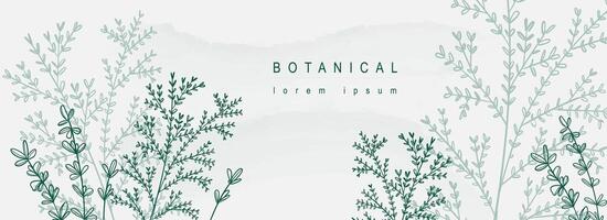 Botanical abstract background with floral line art design. Horizontal web banner in minimal style with hand drawn green leaves, twigs and plant branches with silhouette contours. Vector illustration.