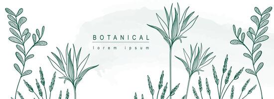 Botanical abstract background with floral line art design. Horizontal web banner in minimal style with blooming flowers contour, meadow herbs, leaves and green twigs border. Vector illustration.