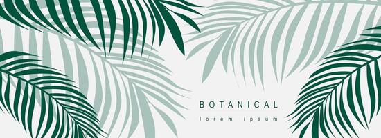 botánico resumen antecedentes con floral línea Arte diseño. horizontal web bandera en mínimo estilo con verde hojas de palma árboles, tropical planta follaje con silueta contornos vector ilustración.