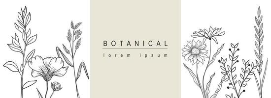 Botanical abstract background with floral line art design. Horizontal web banner with minimal hand drawn composition of different flowers, twigs with leaves and foliage plants. Vector illustration.