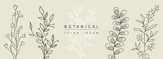 Botanical abstract background with floral line art design. Horizontal web banner with composition of silhouette contours shapes collection with herbs, grass, twigs and leaves. Vector illustration.