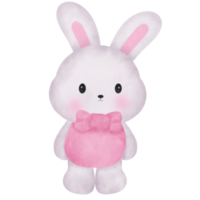 mignonne lapin lapin Valentin. png