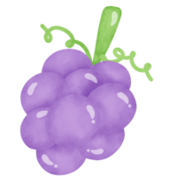 Cute grape . png