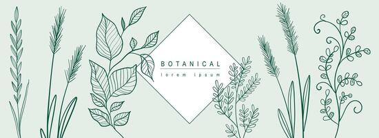 Botanical abstract background with floral line art design. Horizontal web banner with composition of green elegant herbs, grass, twigs and leaves with geometric shape element. Vector illustration.