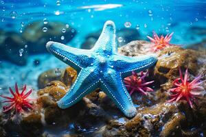 ai generado rojo y azul estrella de mar en rocas foto