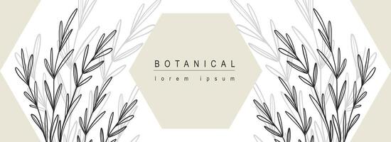 Botanical abstract background with floral line art design. Horizontal web banner with composition with geometric shapes and herb leaves contours and silhouette shadow on backdrop. Vector illustration.