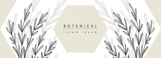 Botanical abstract background with floral line art design. Horizontal web banner with composition with geometric shapes and herb leaves contours and silhouette shadow on backdrop. Vector illustration.