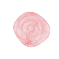 fleur aquarelle dessin animé png