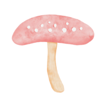 mushroom watercolor cartoon png