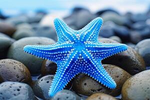 ai generado rojo y azul estrella de mar en rocas foto