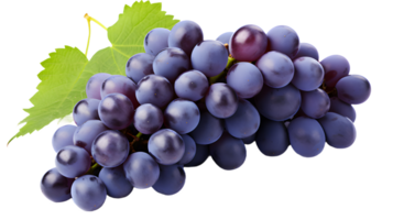 ai gerado grupo do uvas isolado png