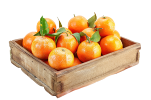 AI generated Fresh Mandarins in Rustic Wooden Box, isolated on a transparent background png