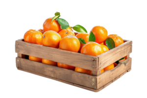 ai gegenereerd vers mandarijnen in rustiek houten doos, geïsoleerd Aan een transparant achtergrond png