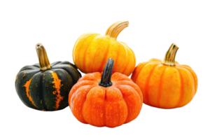 AI generated Pumpkins isolated on transparent background png