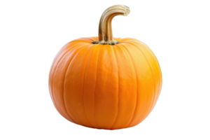 AI generated Pumpkins isolated on transparent background png