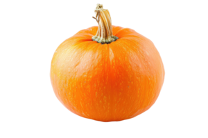 ai généré citrouilles isolé sur transparent Contexte png