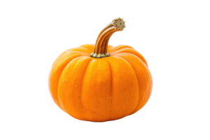 AI generated Pumpkins isolated on transparent background png