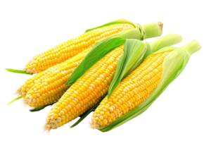 AI generated Fresh corn on transparent background png