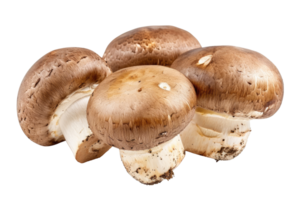 ai generiert braun Champignon oder Portobello Pilz isoliert transparent Hintergrund png