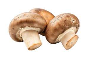 ai generiert braun Champignon oder Portobello Pilz isoliert transparent Hintergrund png