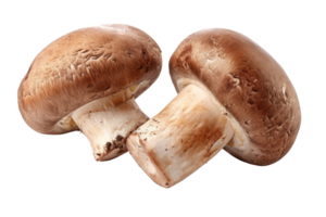 ai generiert braun Champignon oder Portobello Pilz isoliert transparent Hintergrund png