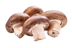 ai generiert braun Champignon oder Portobello Pilz isoliert transparent Hintergrund png