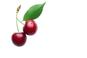 AI generated Cherry with stem and leaves isolated on transparent background png