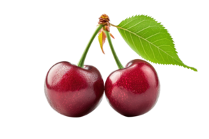 AI generated Cherry with stem and leaves isolated on transparent background png