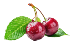 AI generated Cherry with stem and leaves isolated on transparent background png