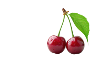 AI generated Cherry with stem and leaves isolated on transparent background png