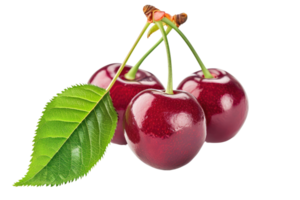 AI generated Cherry with stem and leaves isolated on transparent background png