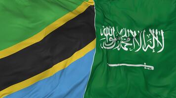 KSA, Kingdom of Saudi Arabia and Tanzania Flags Together Seamless Looping Background, Looped Bump Texture Cloth Waving Slow Motion, 3D Rendering video