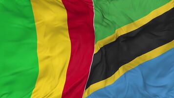 Mali and Tanzania Flags Together Seamless Looping Background, Looped Bump Texture Cloth Waving Slow Motion, 3D Rendering video