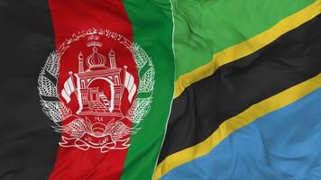 Afghanistan and Tanzania Flags Together Seamless Looping Background, Looped Bump Texture Cloth Waving Slow Motion, 3D Rendering video