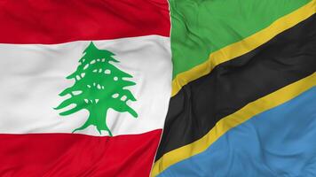 Lebanon and Tanzania Flags Together Seamless Looping Background, Looped Bump Texture Cloth Waving Slow Motion, 3D Rendering video