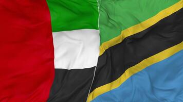 United Arab Emirates and Tanzania Flags Together Seamless Looping Background, Looped Bump Texture Cloth Waving Slow Motion, 3D Rendering video