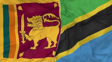 Sri Lanka and Tanzania Flags Together Seamless Looping Background, Looped Bump Texture Cloth Waving Slow Motion, 3D Rendering video