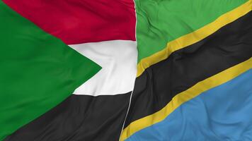 Sudan and Tanzania Flags Together Seamless Looping Background, Looped Bump Texture Cloth Waving Slow Motion, 3D Rendering video