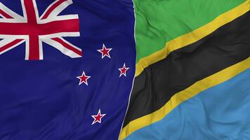 New Zealand and Tanzania Flags Together Seamless Looping Background, Looped Bump Texture Cloth Waving Slow Motion, 3D Rendering video