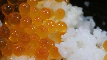 Close up of sashimi salmon roe with rice bowl or donburi in Japanese style food. photo