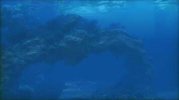 An underwater view of a rock formation in the ocean video