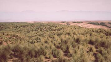 A serene landscape with sweeping green fields and majestic mountains video