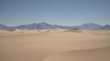 Sand dunes with mountains in the background video