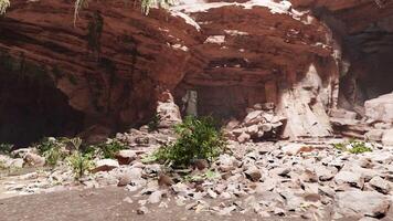 A mysterious cave with natural rock formations and lush vegetation video