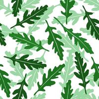 Seamless pattern arugula salad. Vector background with leaves isolated on white fon. Healthy food concept