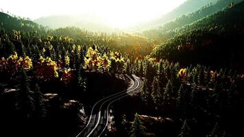 An empty road winding through a picturesque forest at sunset video