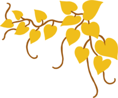 ivy plant drawing illustration. png