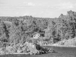 baltic sea in sweden photo