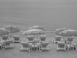 the beach of cannes photo